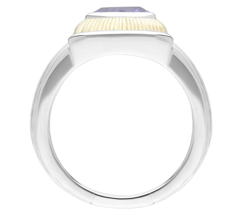 Ariva Sterling Silver & 18K Gold Clad Amethyst Ring — View 2