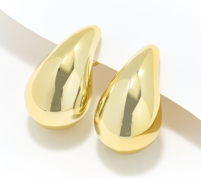 Susan Graver Paisley Drop Earrings — Main view