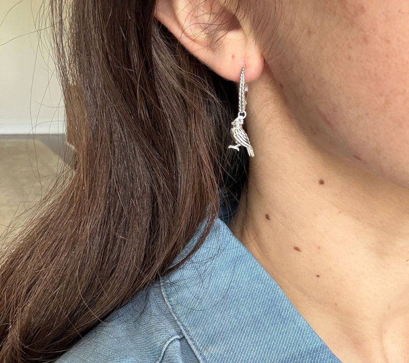 JAI Sterling Silver Symbols of Love Leverback Earrings — View 8