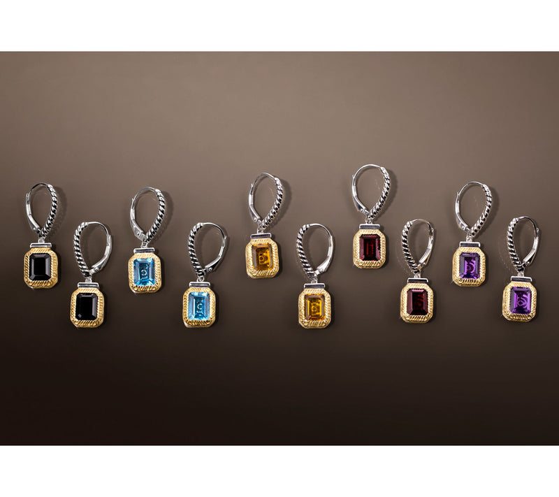 Christian James by Scott Grimes Sterling Silver Two-Tone Gem Earrings — View 8
