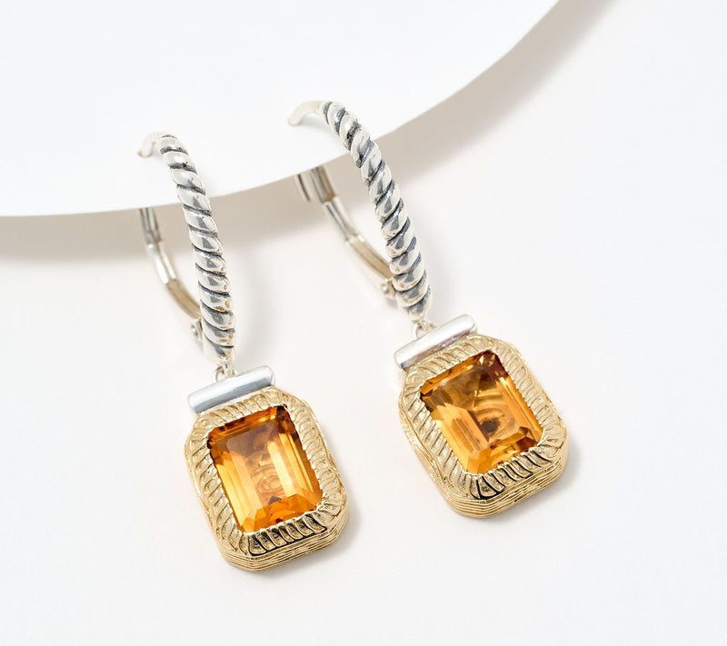 Christian James by Scott Grimes Sterling Silver Two-Tone Gem Earrings — View 16