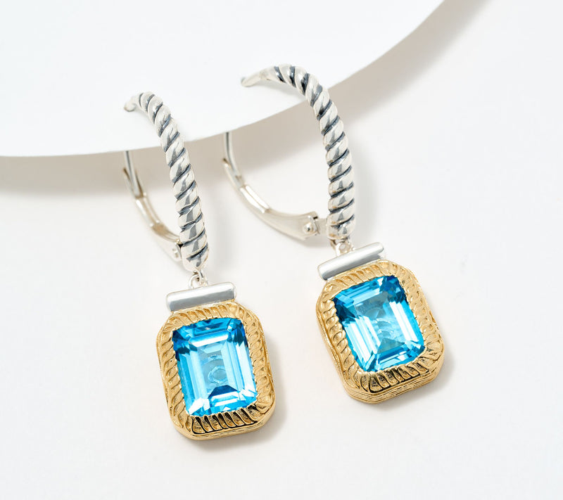 Christian James by Scott Grimes Sterling Silver Two-Tone Gem Earrings — View 17