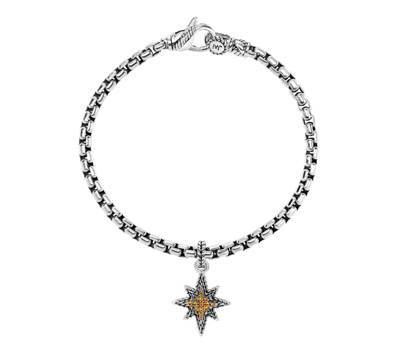JAI Sterling Silver Gemstone Symbols of LoveCharm Bracelet — View 5