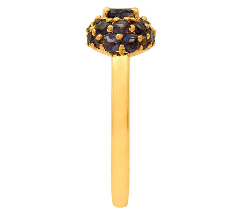 Affinity Gems 1.55 cttw Iolite Halo Ring, 14K Gold Plated — View 4