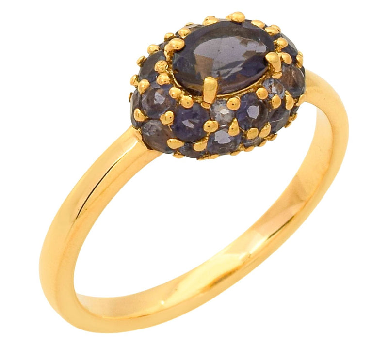 Affinity Gems 1.55 cttw Iolite Halo Ring, 14K Gold Plated — Main view