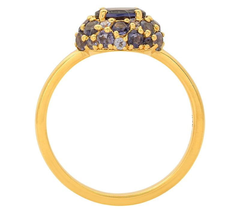 Affinity Gems 1.55 cttw Iolite Halo Ring, 14K Gold Plated — View 3