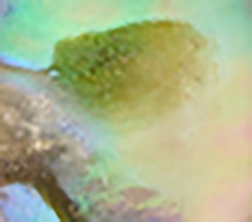 American West Sterl Feather Gemstone Leather Necklace — View 8