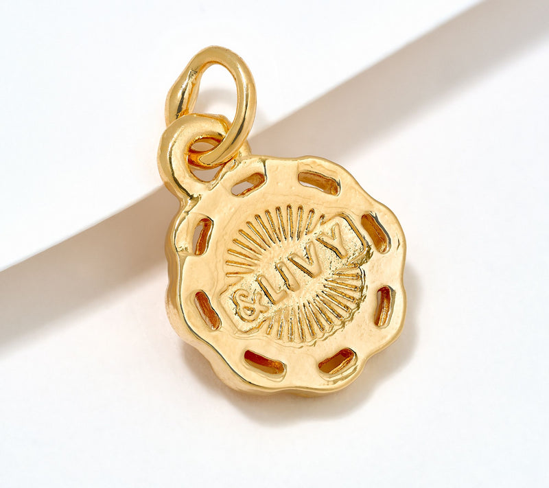 Divinely Guided by Theresa Caputo Course Correcting Compass Charm — View 6