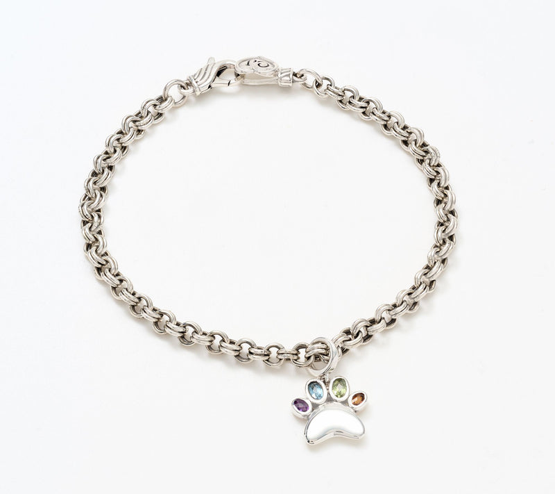 Christian James by Scott Grimes Sterling Silver Rainbow Bridge Charm Bracelet — Main view
