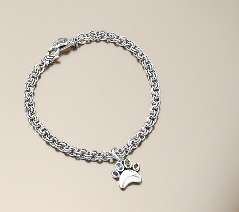 Christian James by Scott Grimes Sterling Silver Rainbow Bridge Charm Bracelet — View 3
