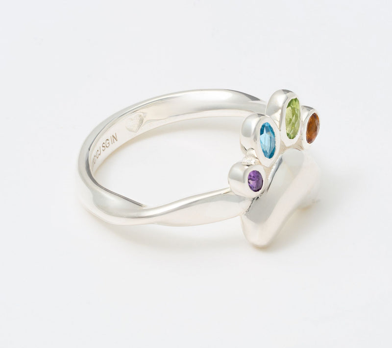 Christian James by Scott Grimes Sterling Silver Rainbow Paw Gemstone Ring — View 2