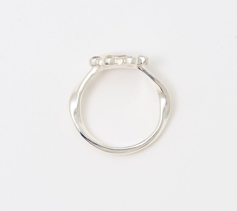 Christian James by Scott Grimes Sterling Silver Rainbow Paw Gemstone Ring — View 3