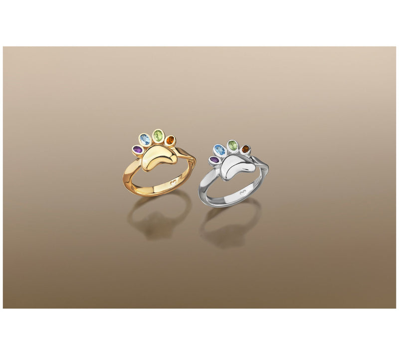 Christian James by Scott Grimes Sterling Silver Rainbow Paw Gemstone Ring — View 4
