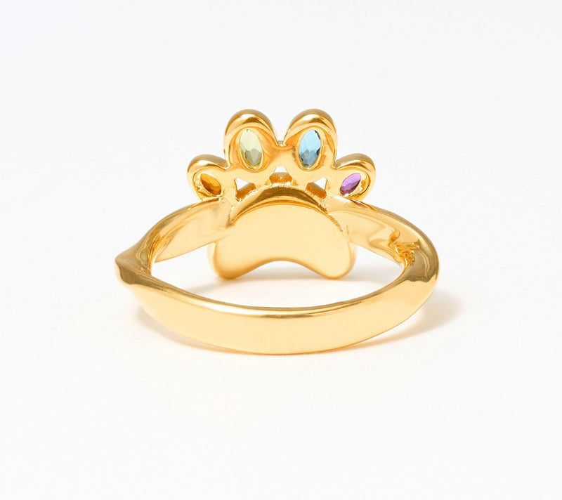 Christian James by Scott Grimes 14K Plated Rainbow Paw Gemstone Ring — View 3