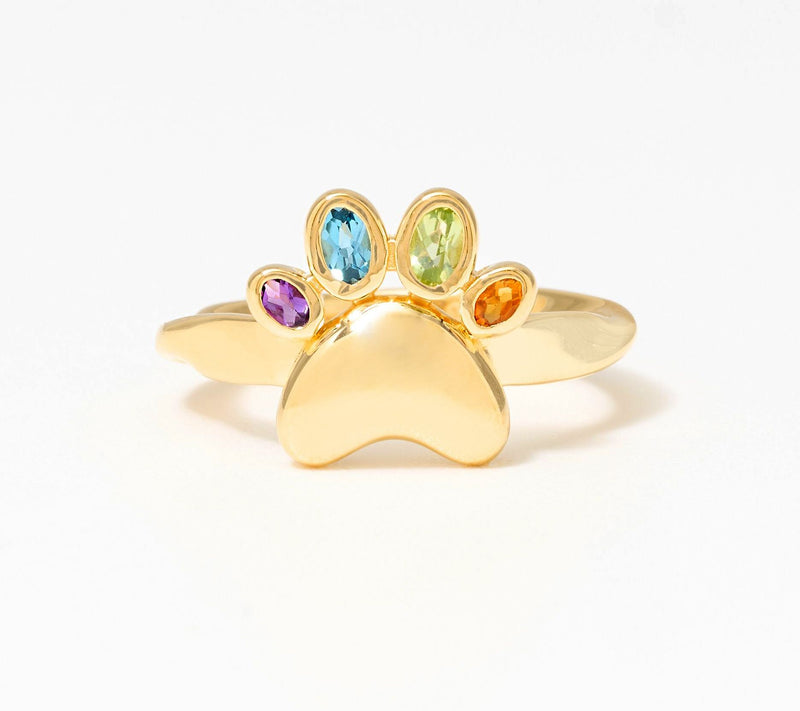 Christian James by Scott Grimes 14K Plated Rainbow Paw Gemstone Ring — View 2