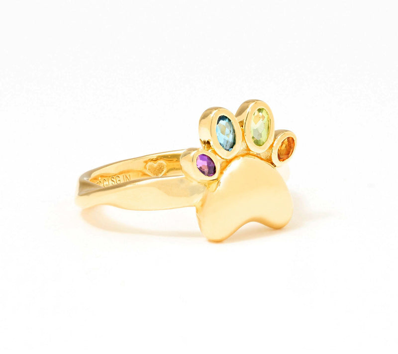 Christian James by Scott Grimes 14K Plated Rainbow Paw Gemstone Ring — Main view