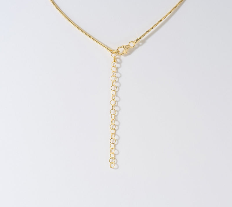 David Markstein Bronze Genuine 500 Lire Coin Omega Necklace — View 3