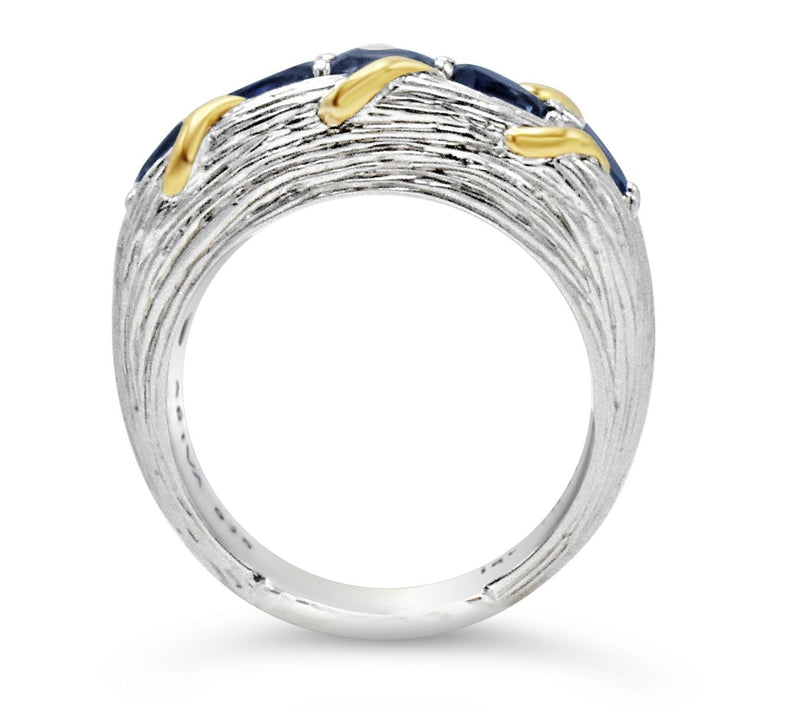 Ariva Sterling Silver & 18K Gold 1.95 cttw Iolite Ring — View 3