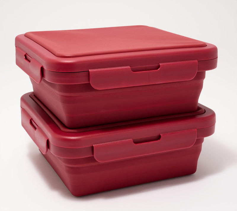 Cella S/2 Silicone Collapsible Storage Squares w/Attached Lids — View 11