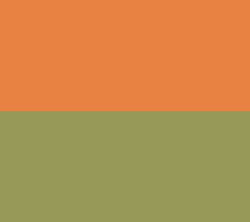 Martha Stewart Pumpkins Kitchen Towel 3-Pack Set — View 7