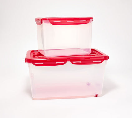 LocknLock 2-Piece Bulk Storage Container Set