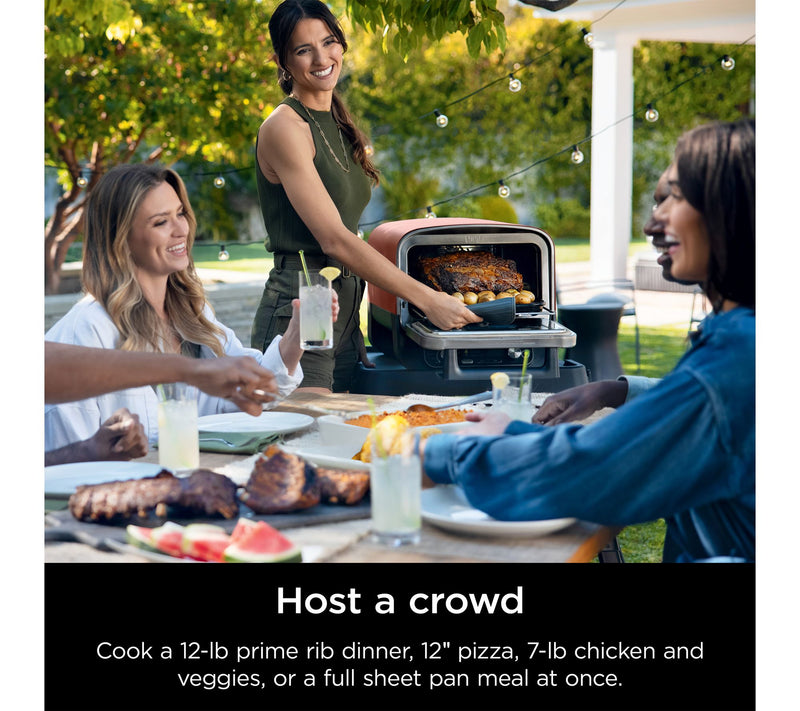 Ninja Woodfire 8-in-1 Outdoor Oven — View 6