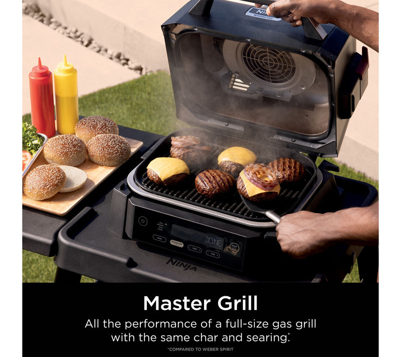 Ninja Woodfire Outdoor Grill & Smoker — View 3