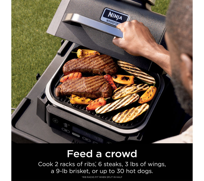 Ninja Woodfire Outdoor Grill & Smoker — View 7