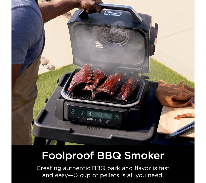 Ninja Woodfire Outdoor Grill & Smoker — View 4