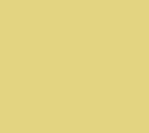 Design Imports Lemon Dots Print Napkin Set of 4 — View 8