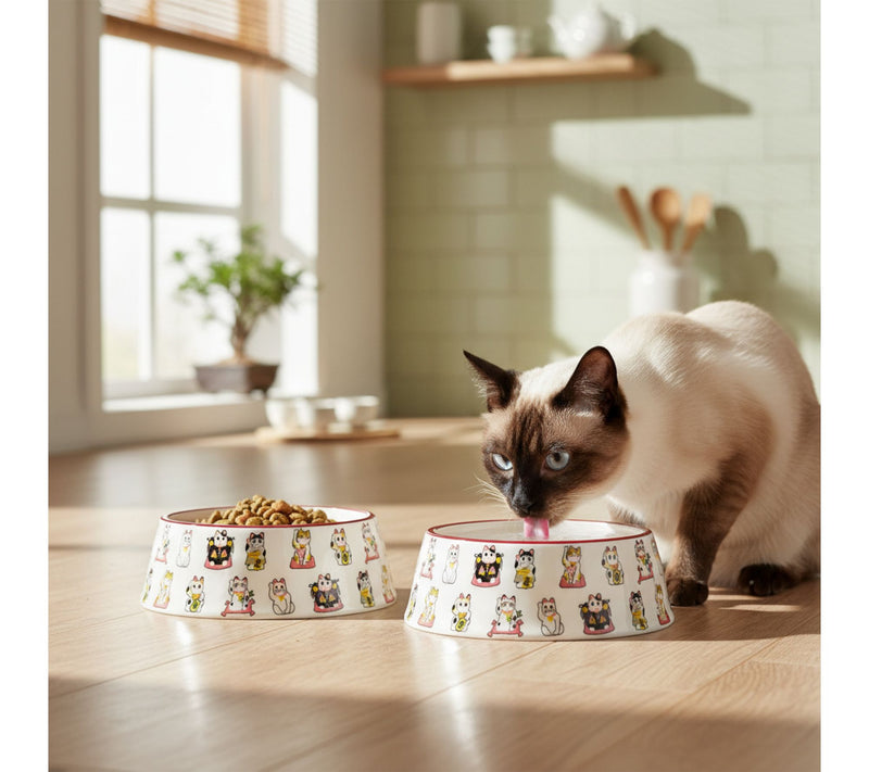 10 Strawberry Street Set of 2 Bella Pet Bowl — View 6