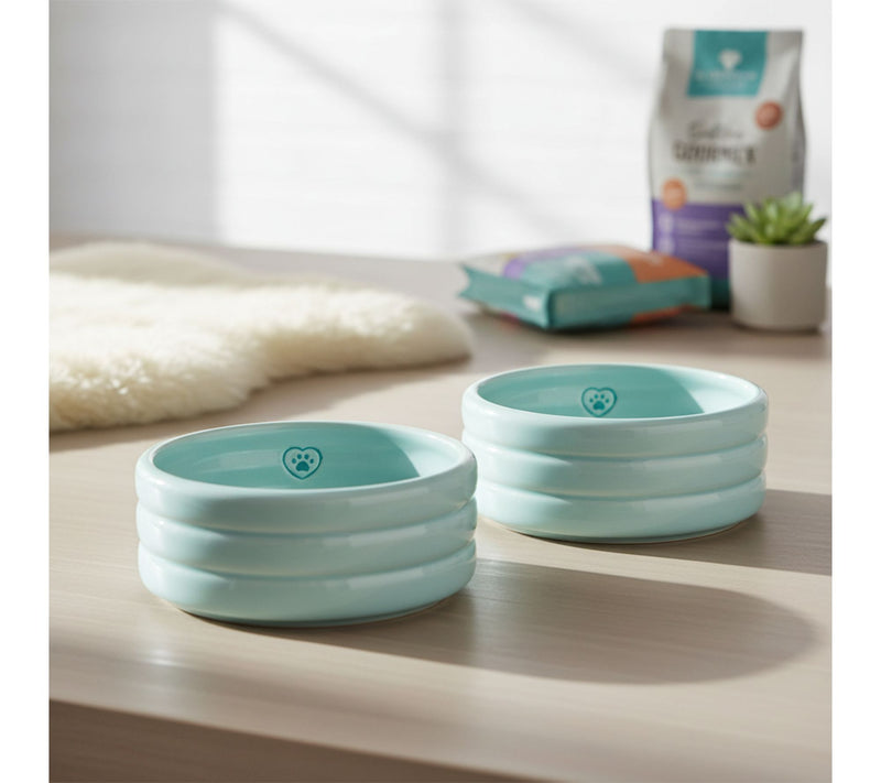 10 Strawberry Street Set of 2 Bubble Bowl Pet Dish — View 4