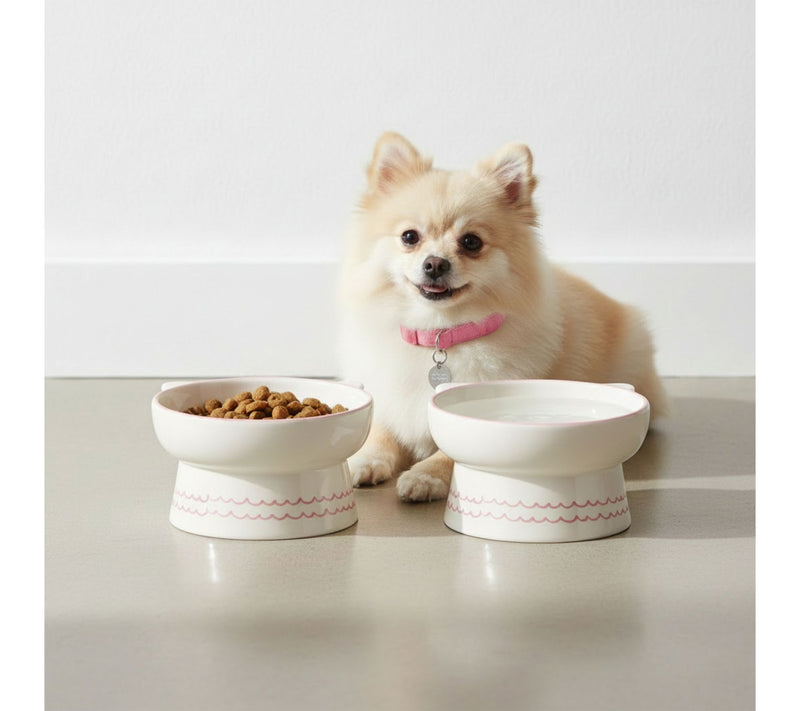 10 Strawberry S treet Set of 2 Ears Up Elevate d Pet Bowl — View 5