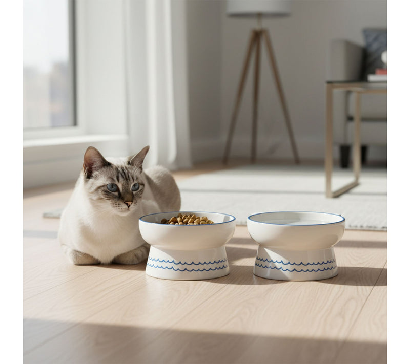 10 Strawberry S treet Set of 2 Ears Up Elevate d Pet Bowl — View 6