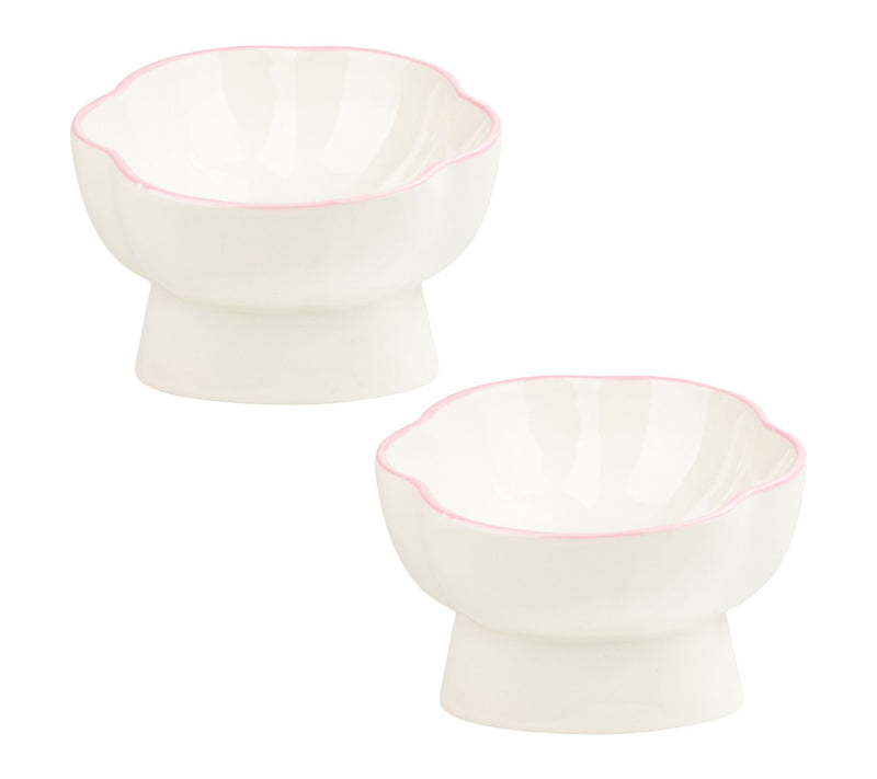 10 Strawberry S treet Set of 2 Paws Up Elevate d Pet Bowl, Lar — Main view