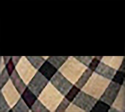 Picnic at Ascot Deluxe Picnic Backpack Cooler &Blanket for 2 — View 2