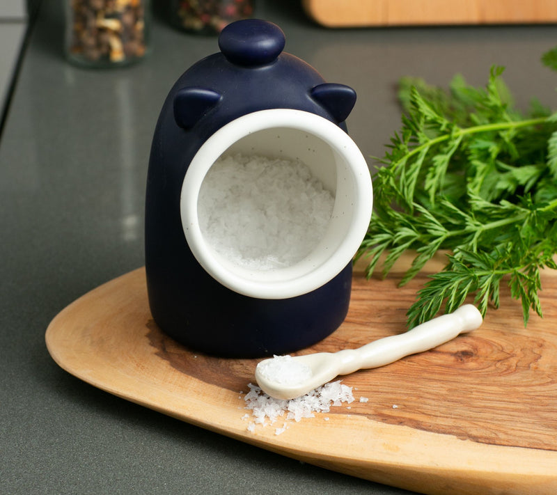 RSVP Stoneware Salt Pig Container — View 9