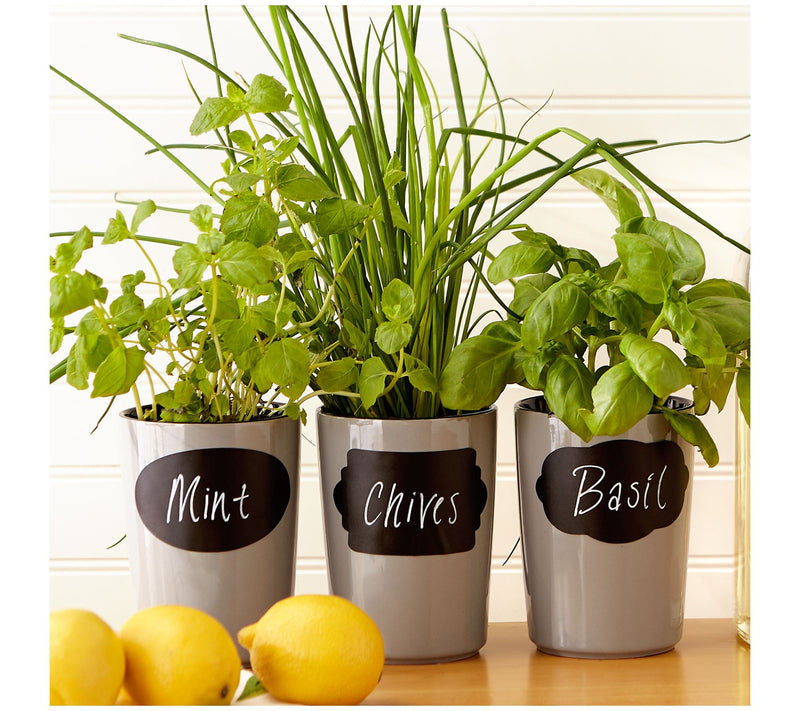 RSVP Set of 24 Reusable Pantry Labels — View 7