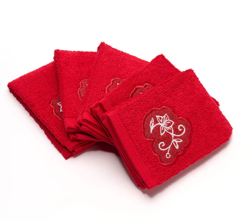 Temp-tations Classic Set of (5) Scrubsy Dish Cloths — View 22