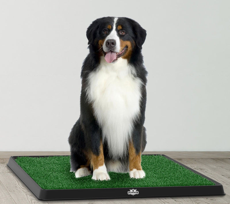 PETMAKER Puppy Potty Trainer Indoor Restroom for Pets — View 3