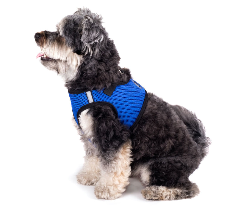 The Worthy Dog Royal Blue Mesh Sidekick Harness — View 5