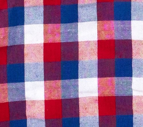 The Worthy Dog Red/White/Blue Check Shirt — View 2