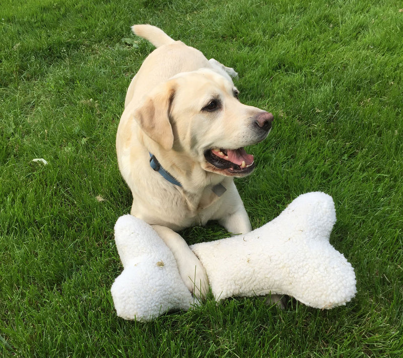 Carolina Medium Pet Bone Pillow Toy — View 2