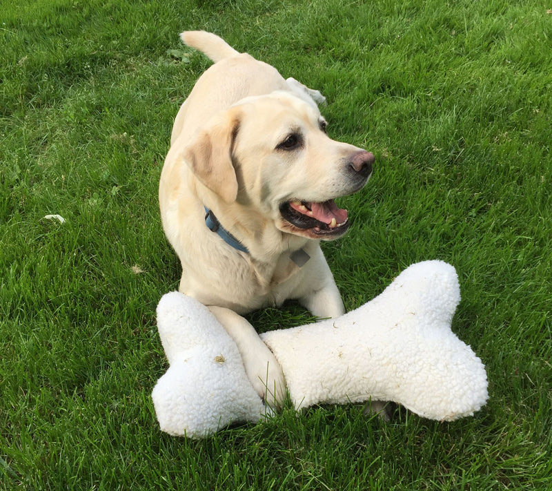CarolinaLarge Pet Bone Pillow Toy — View 2