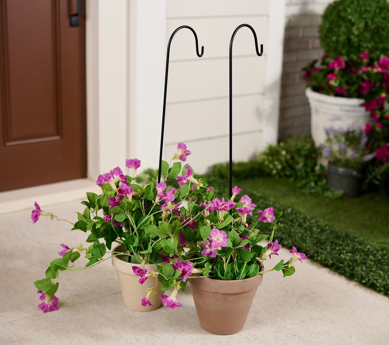 Garden Reflections Set of 2 33"H Metal Shepherd Hooks — Main view