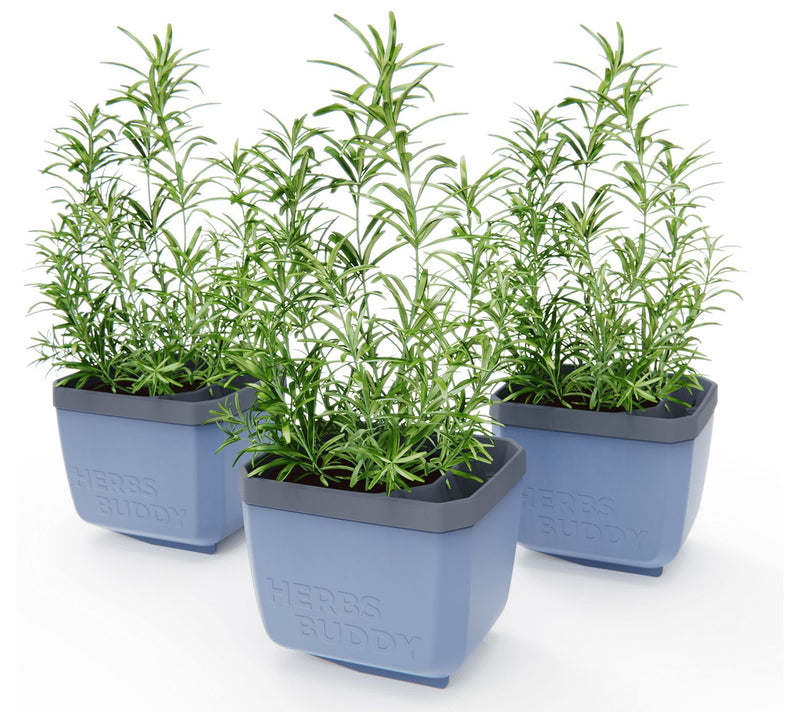 Gusta Garden Set of 3 Self Watering Herb Planters — View 3