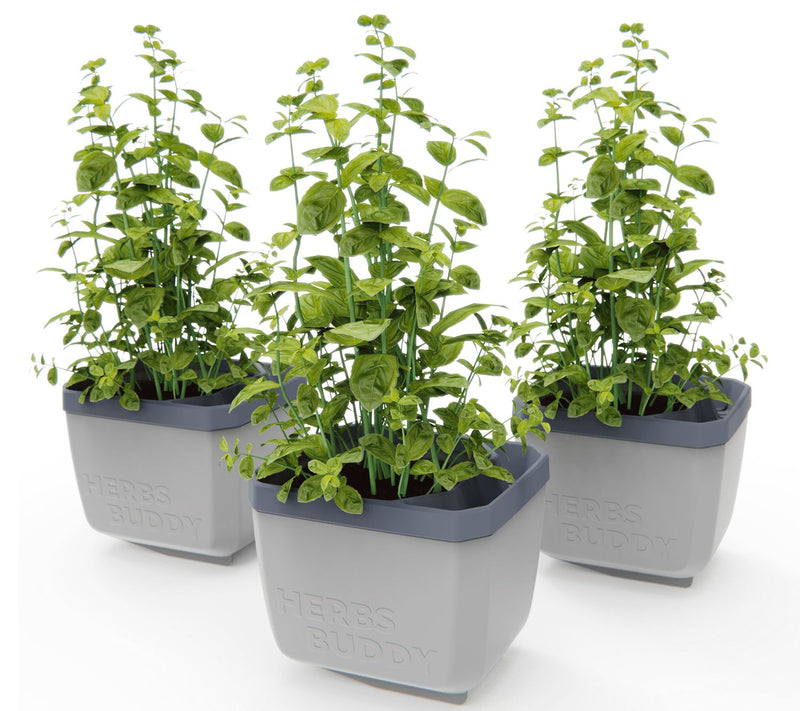 Gusta Garden Set of 3 Self Watering Herb Planters — View 7