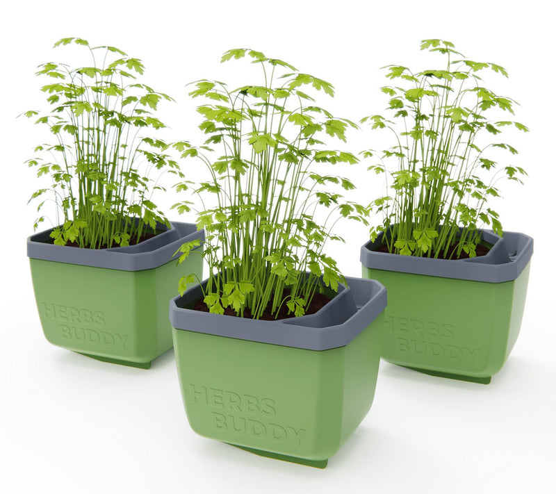 Gusta Garden Set of 3 Self Watering Herb Planters — View 5