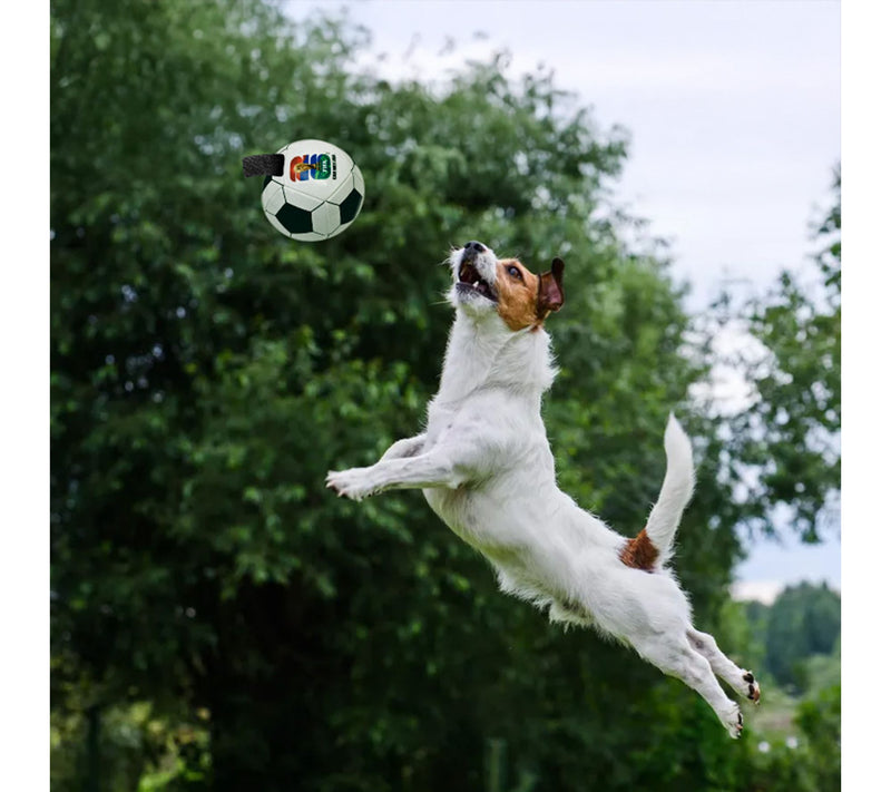 Littlearth 2026 FIFA World Cup Pet Soccer BallToy — View 3