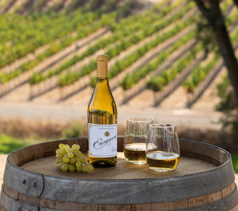 Vino Voyage Wine Discovery 12 Bottle Set — View 3